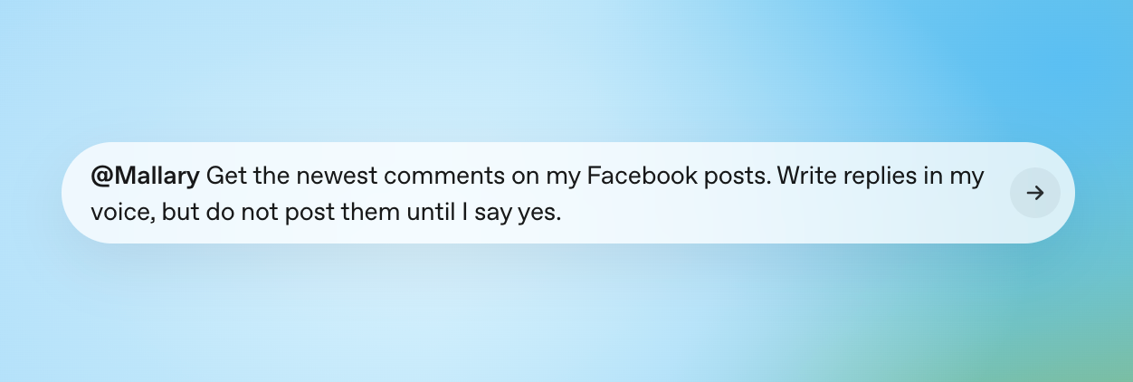 ChatGPT prompt asking Mallary to draft replies to Facebook comments